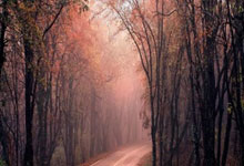 MK体育:凱恩希望走出上屆歐洲杯被冰島淘汰的陰霾.