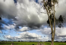 都体:如果亚伯拉罕降低目前的500万欧年薪,米兰可能会留下他.