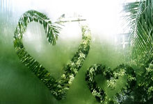 板鞋竞速看配合:“六条腿”也能健步如飞.